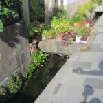 松本の水巡り