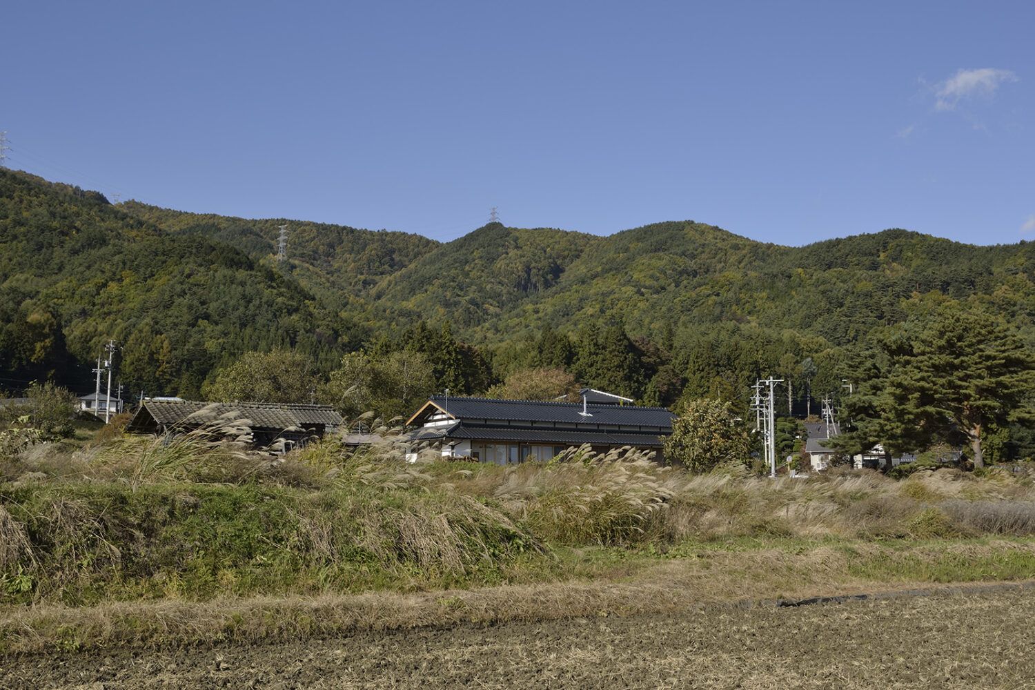 自然の中の民家