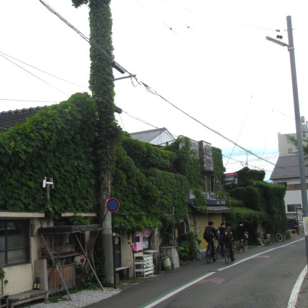 春の装い？