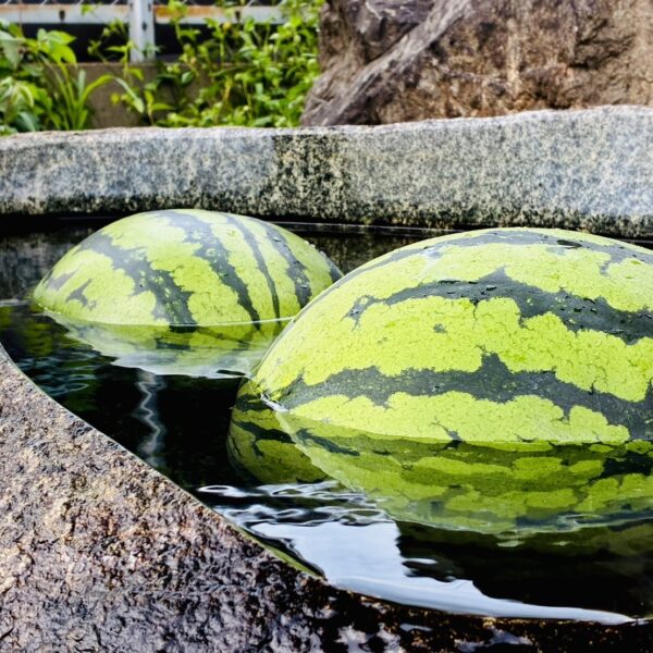 長野県 季節をいただく
